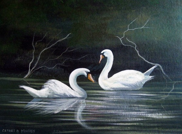 cleggan swans