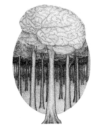 Brain Tree