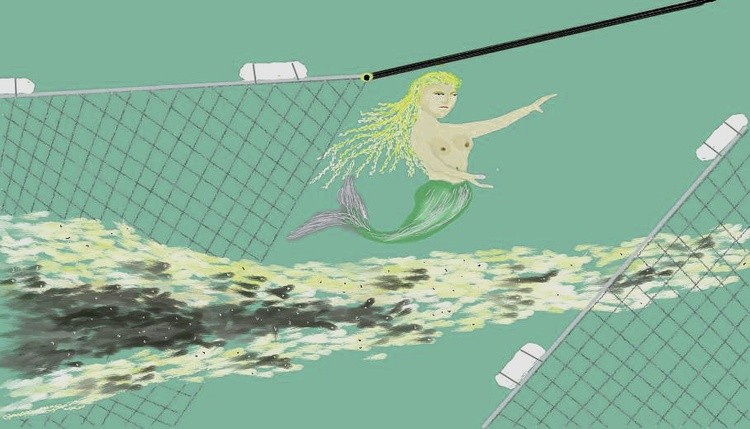 the fishing mermaid