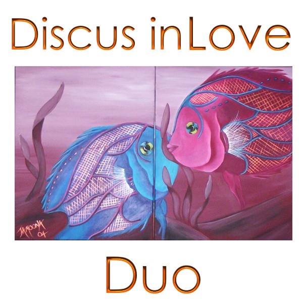 Discus in Love!!