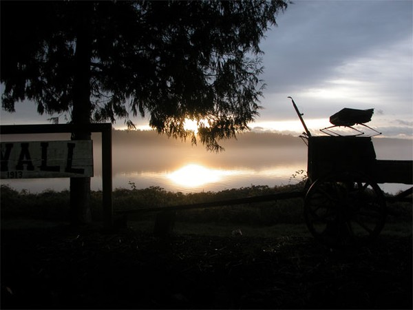 Old Wagon at Dawn