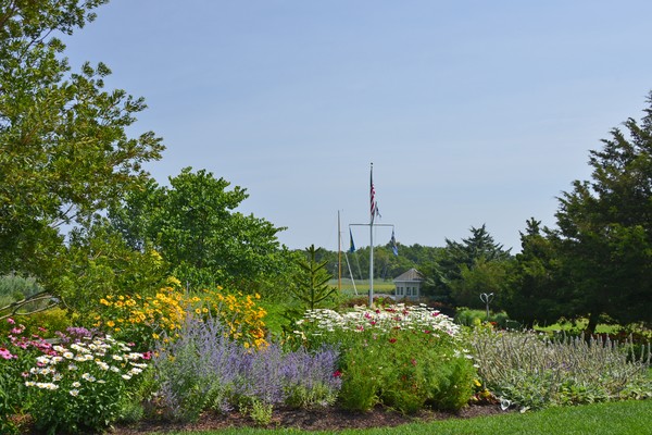 Lewes Garden