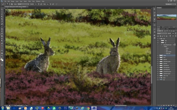 the Dales - close up of hares