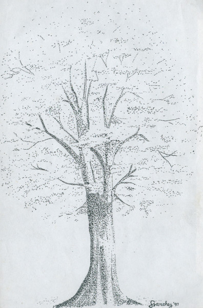 Narra (Philippine's National Tree)