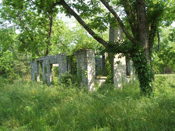 OVERGROWN REMAINS