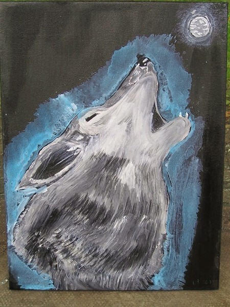 Grey Timber  Wolf 