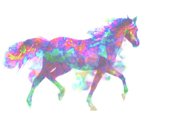 Fantasy Horse