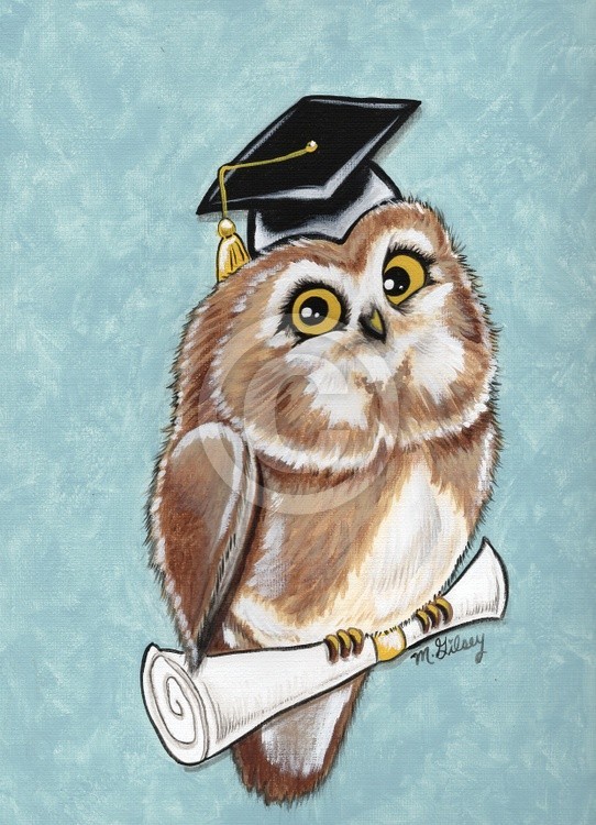 Graduation Owl 