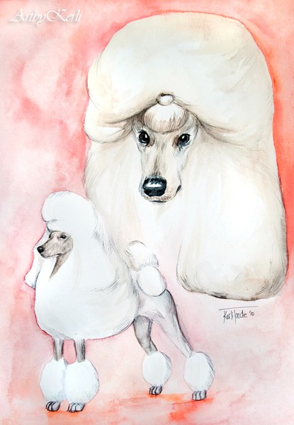 Poodle (watercolor)