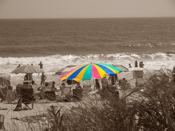 Dunn's Beach Spot Color