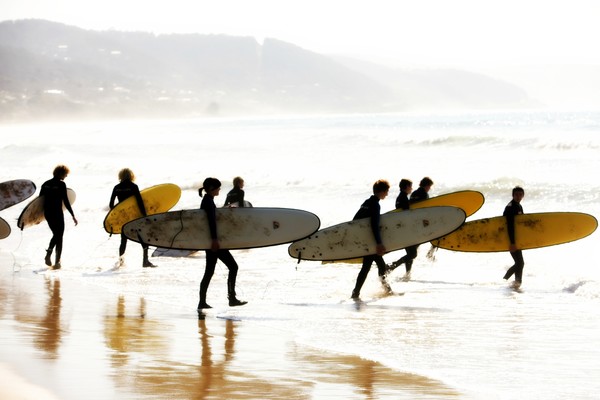 Beach Surfboards Surfers