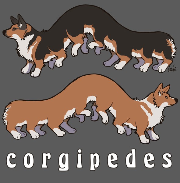 Corgipedes