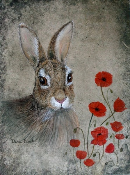 Bunny and Poppies