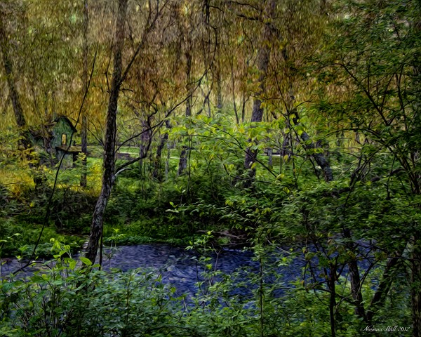 cabin by solitary creek