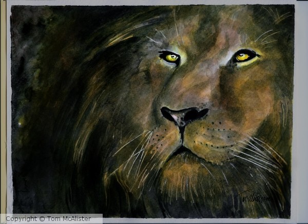 Lion in Moonlight