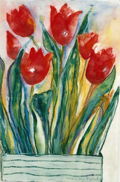 Red Tulips window box