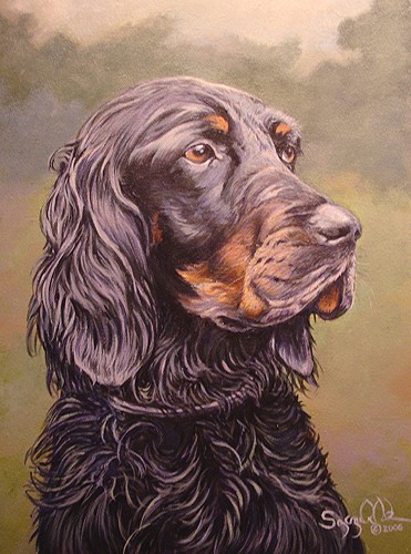 Gordon Setter