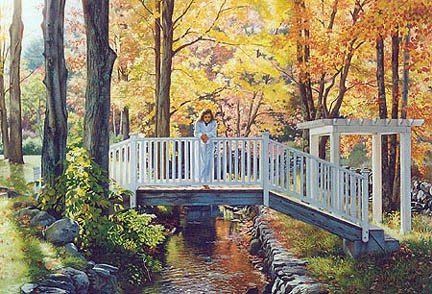 Bridging The Seasons