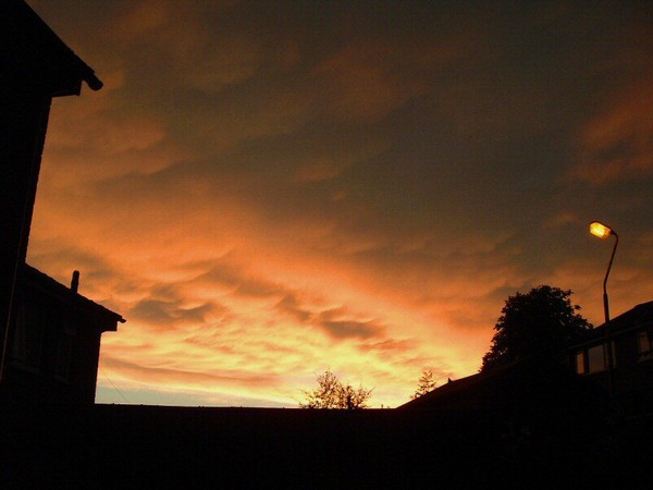 DAYS OF HEAVEN