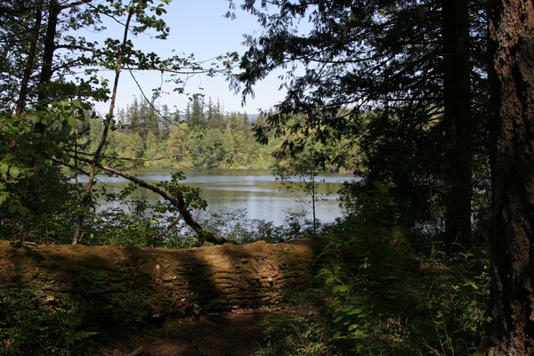 Spring Arrives at Deep Lake