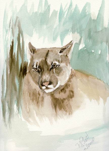 Cougar in th Grass, Value Study
