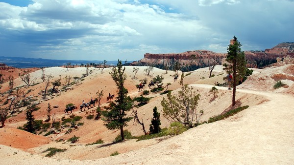 Horse Trails in Bryce Canyon