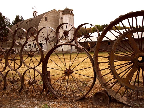 farm fence