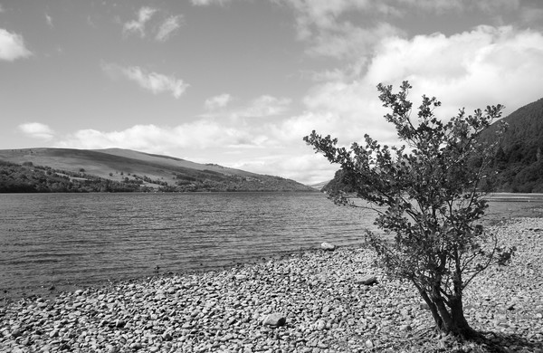 Three views of Loch Tay - 3