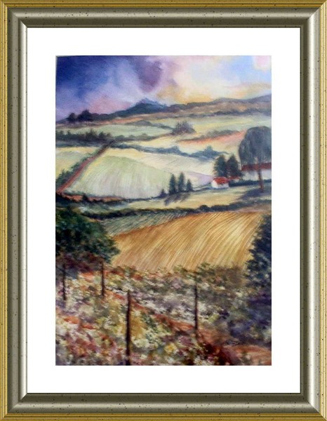 Tuscan Vineyard    SOLD©