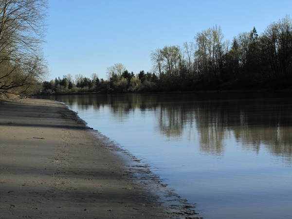 Evening on the Fraser