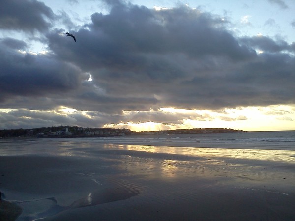 Marblehead Morning Glory