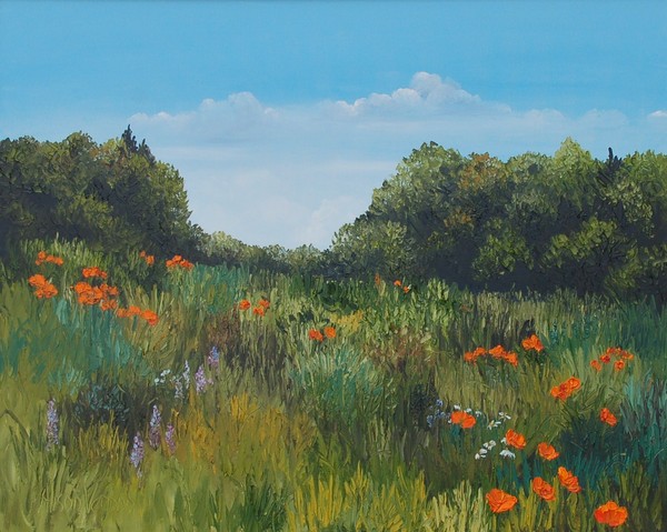 Poppies in a Field by Alison Vernon