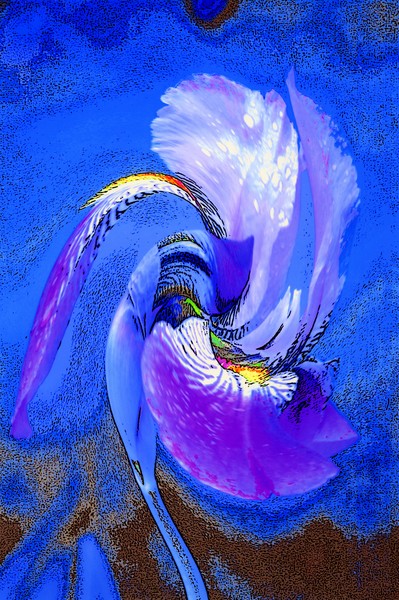 Abstract Iris Flower/©2009, JDS
