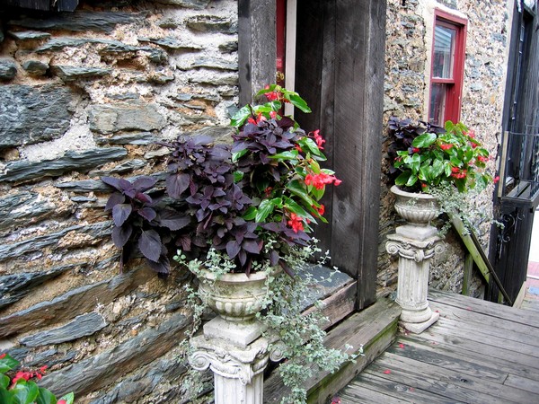 Harpers Ferry Wall with Flowers