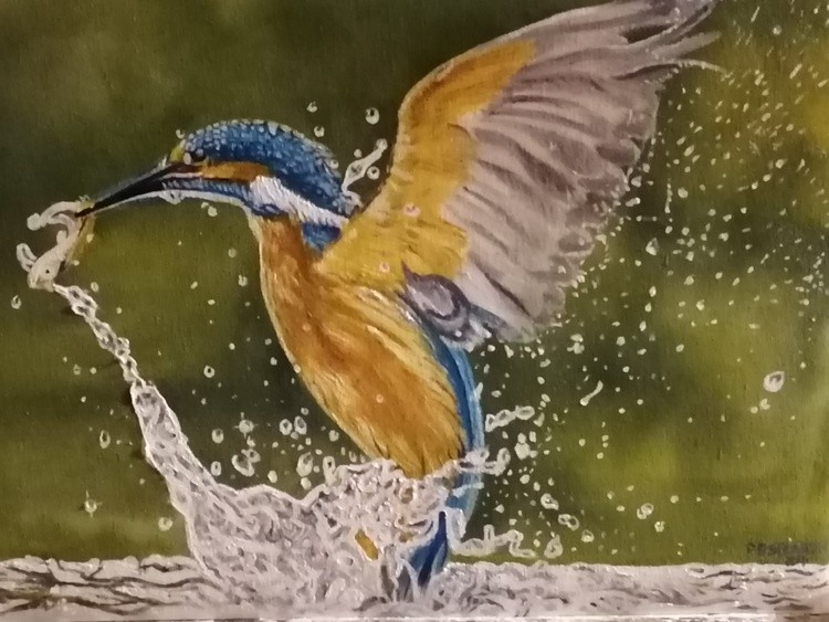 kingfisher