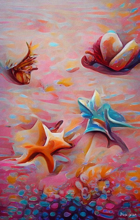 Starfish and Sea shells 