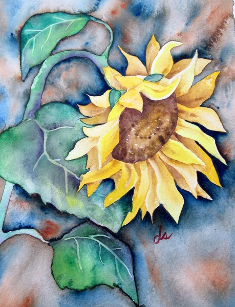 Another Sunflower