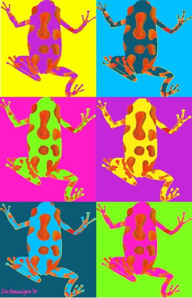 Warhol Frogs