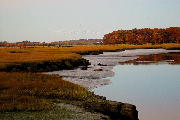Fall Marsh