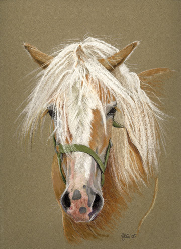 Original Haflinger Stallion pastel painting
