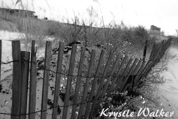 Beach Fence