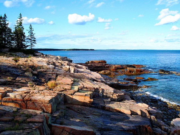 Schoodic Shoreline