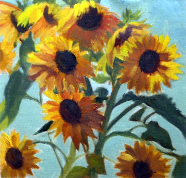 Norma's Sunflowers