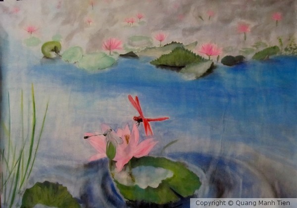 waterlily pond with dragon fly
