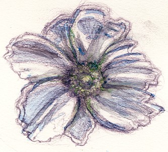 Prickly Poppy Watercolor