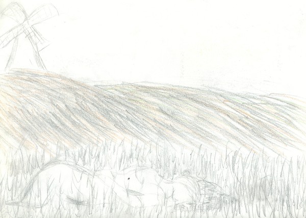 field sketch