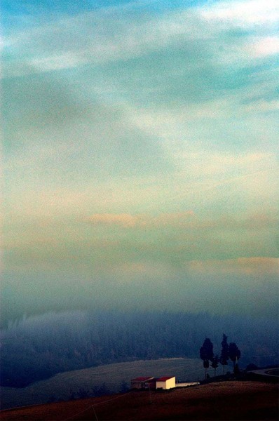 Tuscany's fog