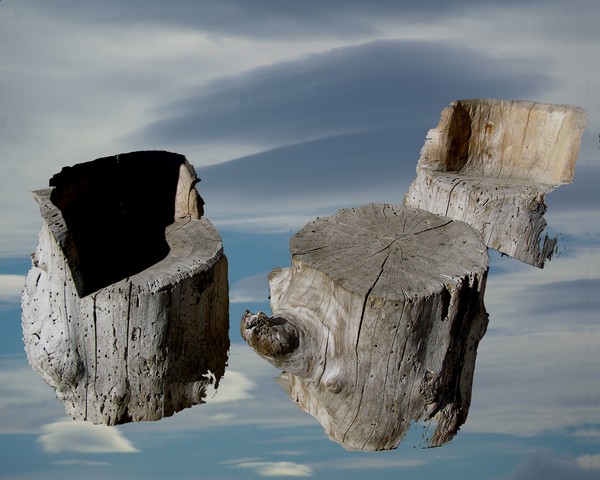 wood  sculpture  superimposed  on sky