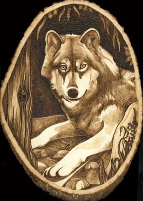 Wolf on basswood