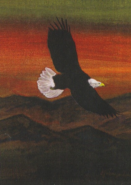 Sunset Eagle